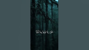 سورة الأنعام [44]