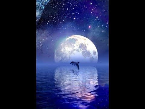 【中森明菜】おばちゃんが歌う　LIAR＜歌詞付き＞