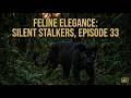 Feline Elegance: Silent Stalkers | Episode 33 | AI Wildlife Documentary | Algorithm's Eyes
