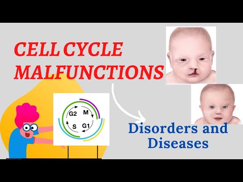 DISORDERS AND DISEASES THAT RESULT FROM THE MALFUNCTION OF THE CELL DURING THE CELL CYCLE