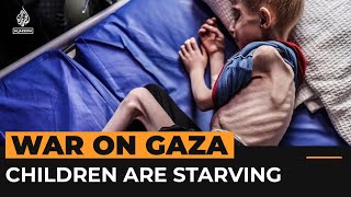 Videos Of Malnourished Children Show Gazas Forced Starvation Crisis Al Jazeera Newsfeed