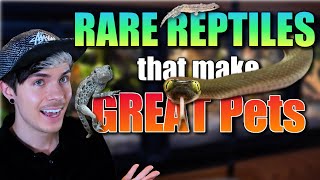 RARE Reptiles that Make Great Pets for Beginners! @tylerrugge