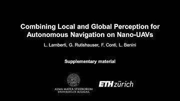 Combining Local and Global Perception for Autonomous Navigation on Nano-UAVs