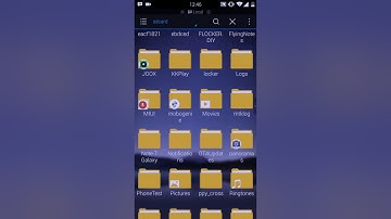 Bully Anniversary/Mobile Mod Player Selector