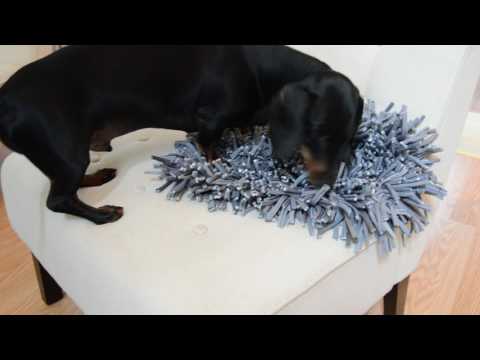 Wooly Snuffle Mat: Positive Training Tips!