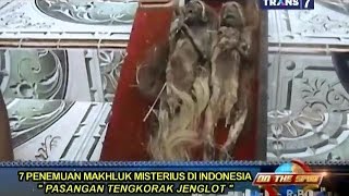 On The Spot 7 Penemuan Makhluk Aneh di Indonesia