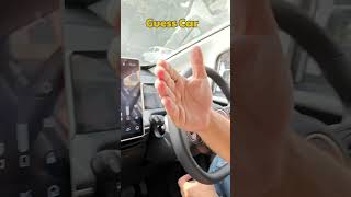 windser ev sunroof