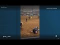 Father jumps in to save son from charging bull at Texas rodeo