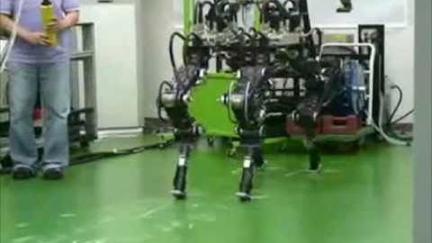 Korean Quadruped Robots