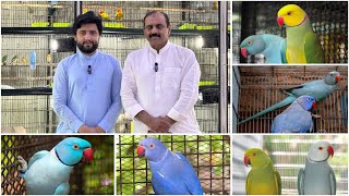 Multan Sunday Birds Rasheedabad 19 May 2024 latest Update​ I Part 2