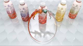 Believe in Zero - 0 Cal SoBe Lifewater
