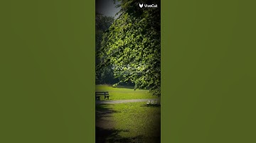 قرآن كريم راحة نفسية😍#قرآن #قران_كريم