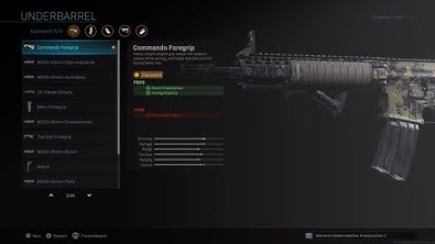 Best M4A1 class setup. For camos