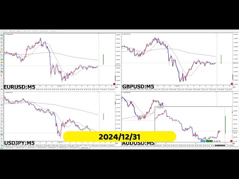 【RCCで振り返る】2024年12月31日対米ドルの4通貨ペア