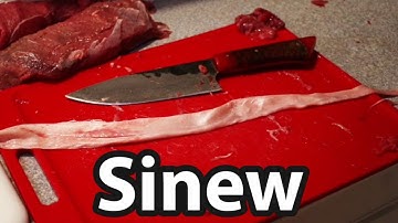 Processing Deer Backstrap Sinew