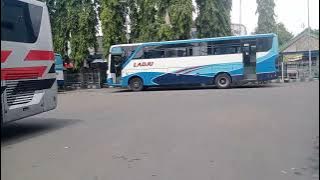 terminal situbondo di dominasi bus akas sama ladju