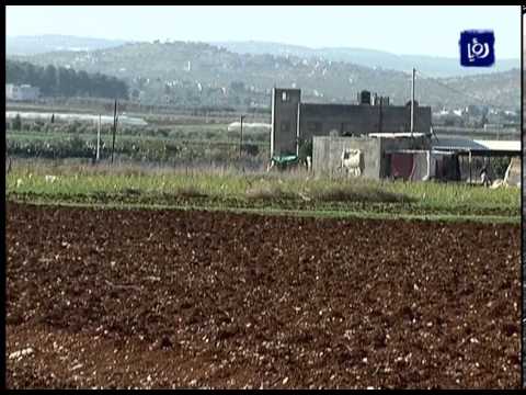 تقرير عن مرج بني عامر