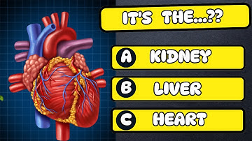 🧠🤔Challenge Your Mind | Test Your Knowledge with the Human Body Quiz | #quiz #quizgames #quiztime
