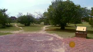 Fort Jefferson - Island Excursion