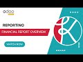 Financial Report Overview