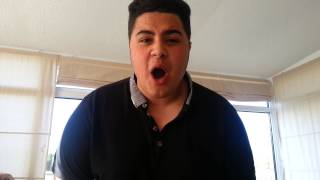 More Than Life Scarlet Skyline (vocal cover)