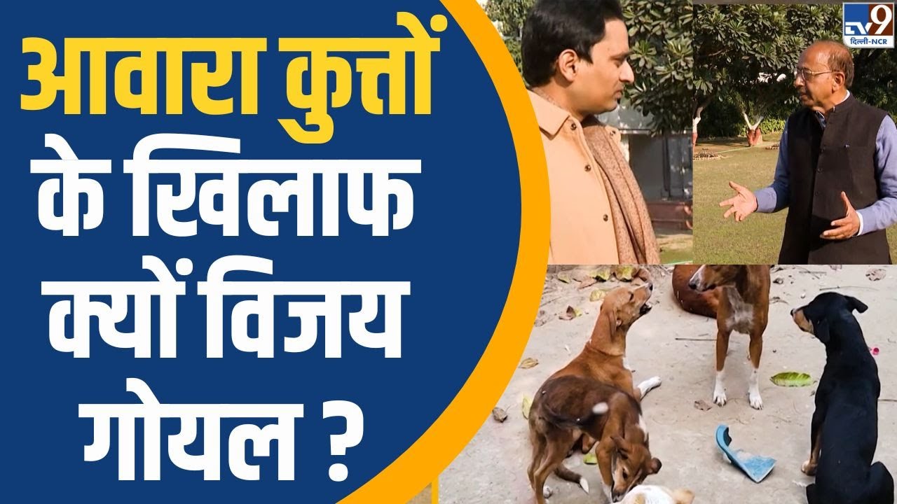 Stray Dogs के खिलाफ क्यों Vijay Goel? |Supreme Court on Dogs|Dog Lovers vs Dog Haters |Ground Report