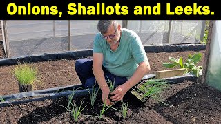 Onions Leeks and Shallots | Ailsa Onions | Zebrunne Shallots | Baby Leeks | Green Side Up