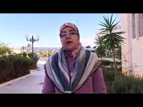 ماهي قصة الاحتفال بيناير وما هي الطقوس الممارسة فيه د سامية جباري 