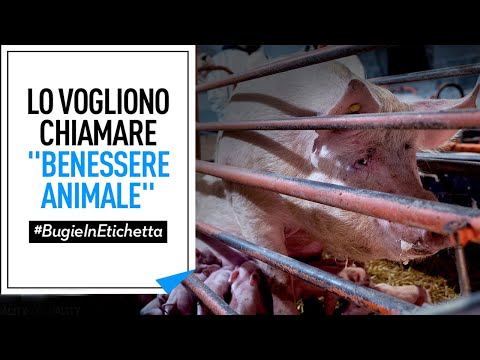 Fermiamo le bugie in etichetta