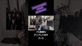 【弾いてみた】 Strawberryfields/VENUS(ベースカバー) 『のはタク チャンネル』