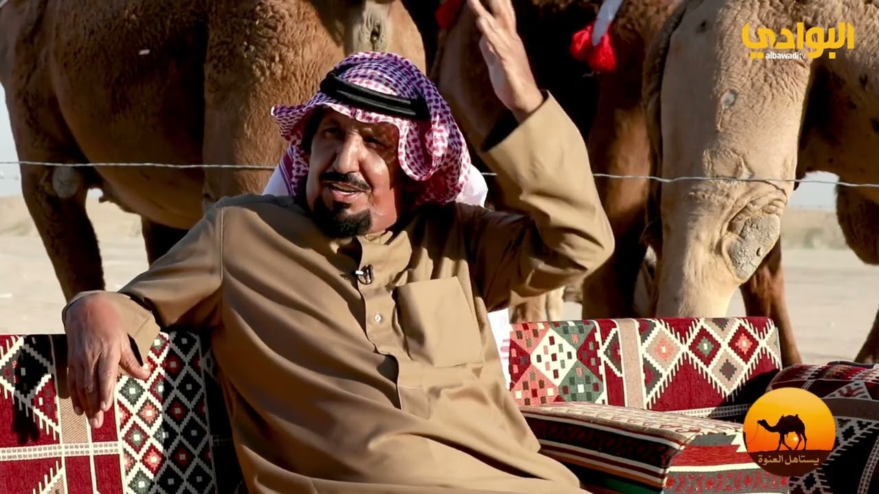 مالك الإبل خلف الجلادي - سلالات الفحول الطيبة| من برنامج يستاهل العنوة