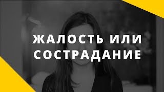 Жалость или сострадание: в чем разница?