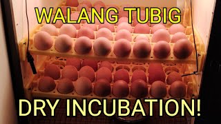 MAS OKAY BA ANG DRY INCUBATION 