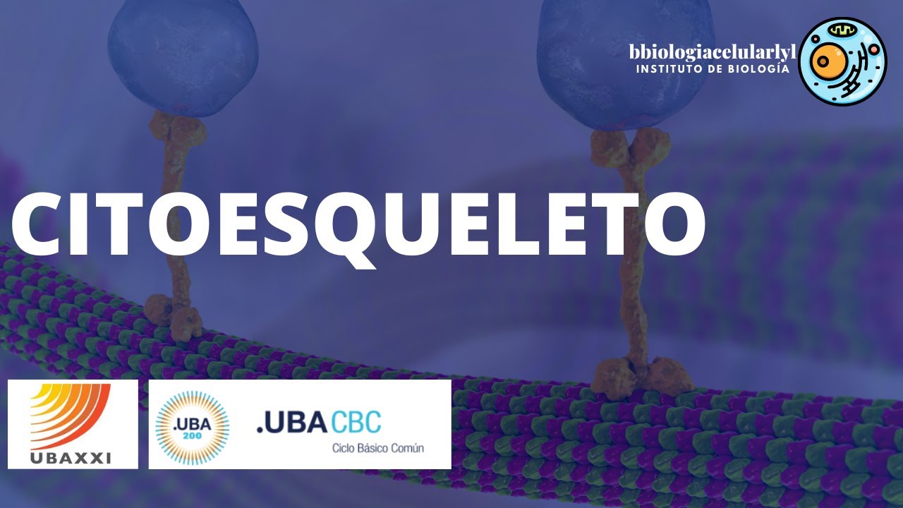 Clase 19. CITOESQUELETO. UBAXXI y CBC 