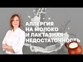 Аллергия на молоко и лактазная недостаточность. Есть ли связь и в чём причина?