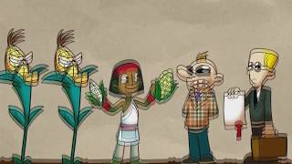 [2] Análisis de Curiosamente y los transgénicos - Monsanto según el mundo