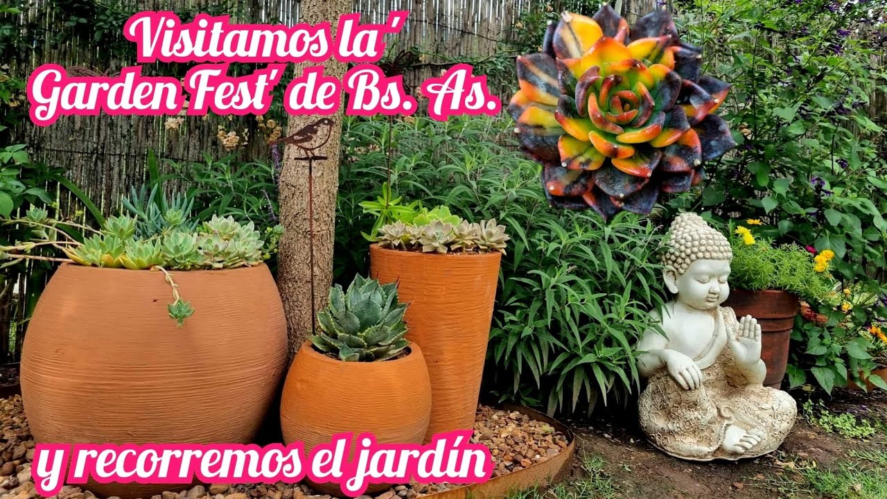 Nuevas sucus y macetas para el jardin #terrasuculenta