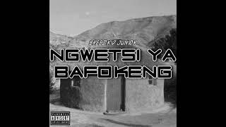 Ngwetsi Ya Bafokeng