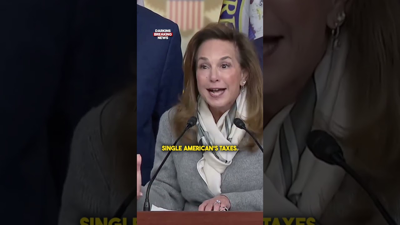 Лиза МакКлейн: «Каждый демократ проголосовал за повышение налогов для каждого американца».