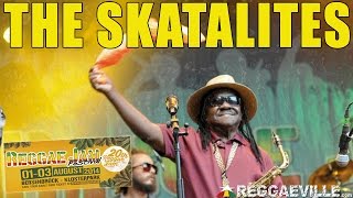 The Skatalites @ Reggae Jam 2014 - YouTube