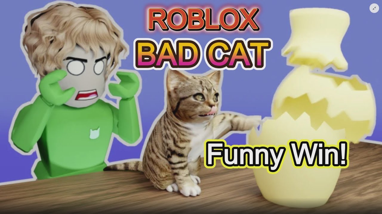 Bad Cat — Забавная победа — Геймплей Roblox
