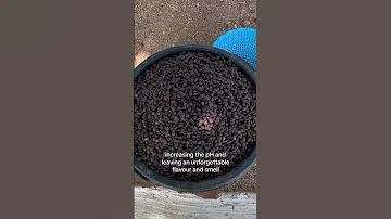 How Dawa Dawa Is Made Westafricanfood 
