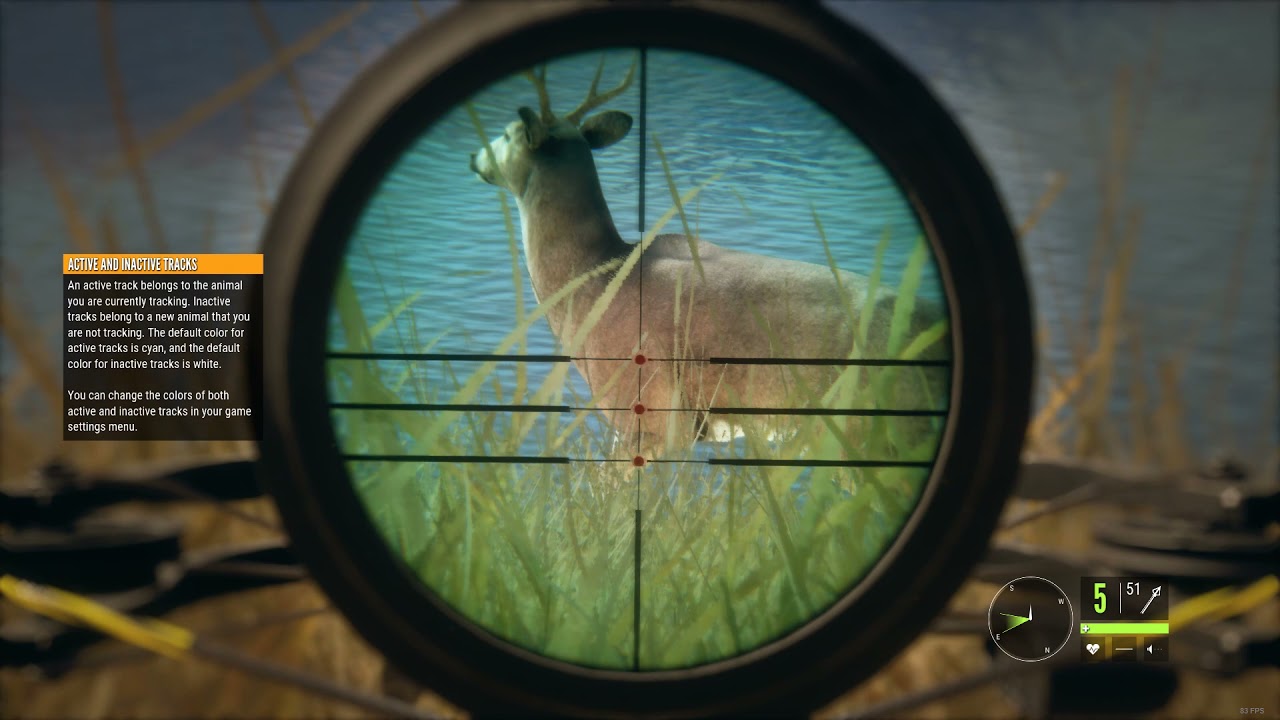 theHunter Call of the Wild Rancho Del Arroyo hunting two WhiteTail