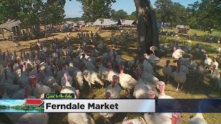 Goin’ To The Lakes: Cannon Falls’ Ferndale Market & Athoff Hardware