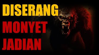 BERCAKAP DENGAN JIN SIRI 220-222 ||  DISERANG MONYET JADIAN