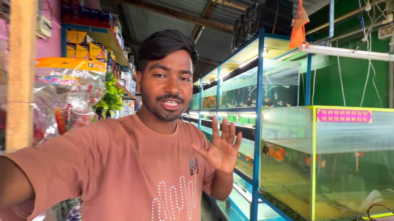 Aquarium Shop at Guwahati 😍🐠🐟 @AssamKrishiTV 