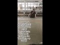 Do This on a Train = Instant Fine 😱”#rulebreakers #youtubeshorts #trainrules #trainpenalty