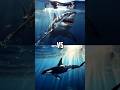 Sharks vs Toothed Whales