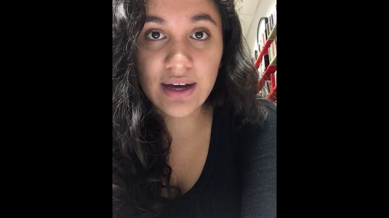 Liberal vs Conservative Patriotism for UF 100: Navigating Identity