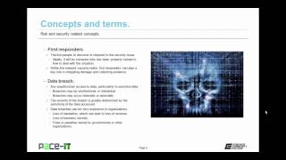 PACE-IT: Risk and Security Related Concepts